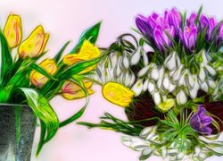 Kwiaty, Tulipany, Krokusy, Przebiśniegi, Grafika