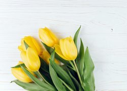 Żółte tulipany ułożone na deskach
