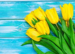 Żółte, Kwiaty, Tulipany, Niebieskie, Deski