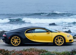 Wybrzeże, Bugatti Chiron, Żółto-czarny