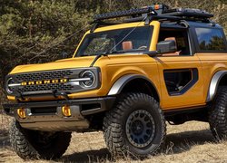 Żółty Ford Bronco