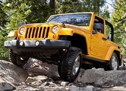 Żółty Jeep Wrangler Rubicon
