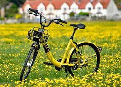 Żółty rower na łące