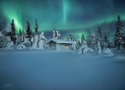 Zorza polarna nad zasypanym śniegiem domkiem w lesie