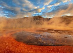 Gejzer, Źródło termalne, Grand Prismatic Spring, Para, Drzewa, Midway Geyser Basin, Park Narodowy Yellowstone, Wyoming, Stany Zjednoczone Gejzer