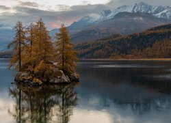 Szwajcaria, Jezioro Silsersee, Wyspa, Drzewa, Zalesione, Wzgórza