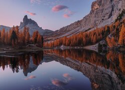 Zrudziałe modrzewie nad górskim jeziorem Lago Federa